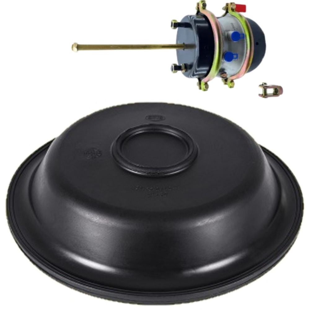 image_e253636b-053b-4992-a955-3be036817638