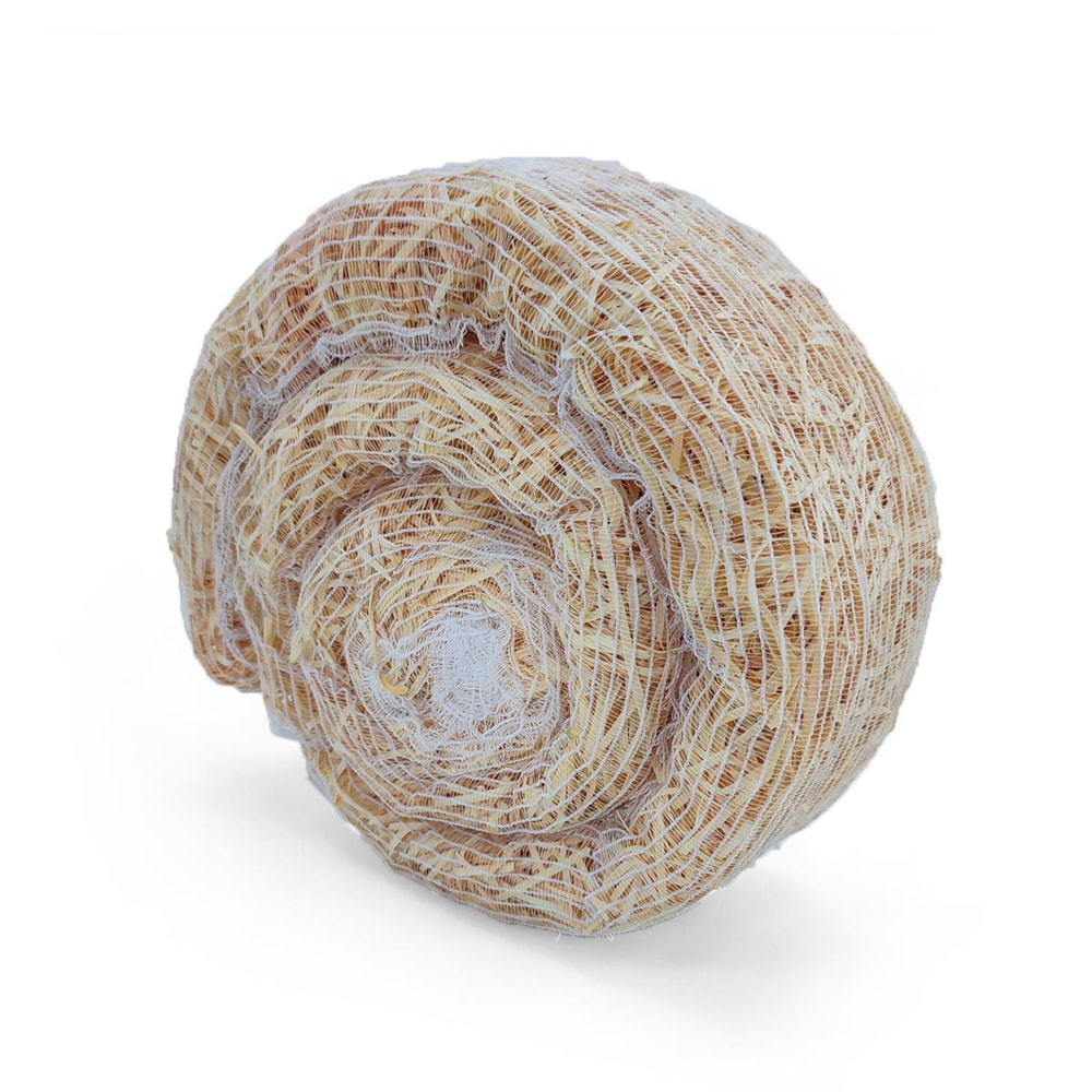 image_2ca26669-97cf-40cf-bb53-ed7df5f86867