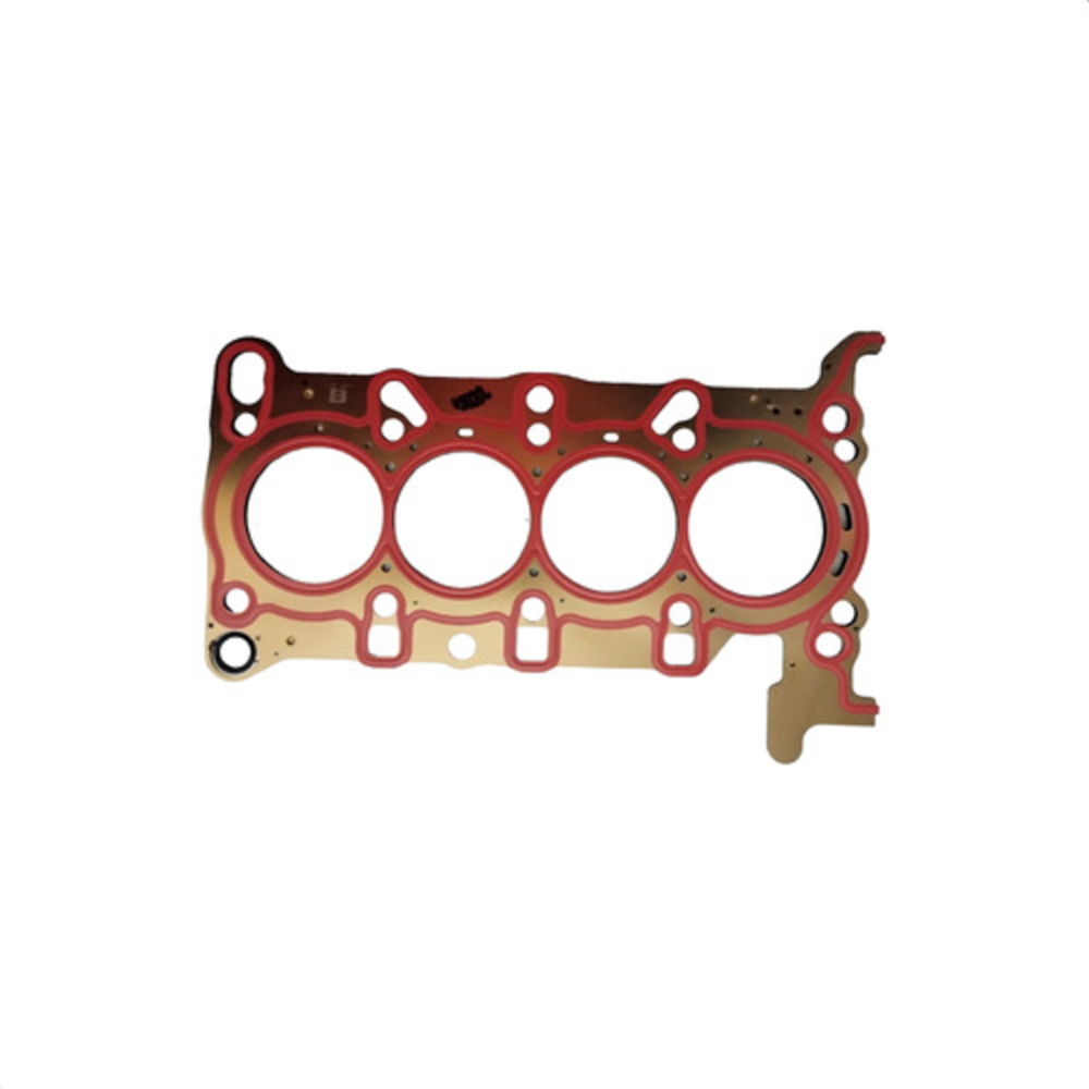 image_fe0cacb4-eb5e-433c-ab78-e89b5e57479b