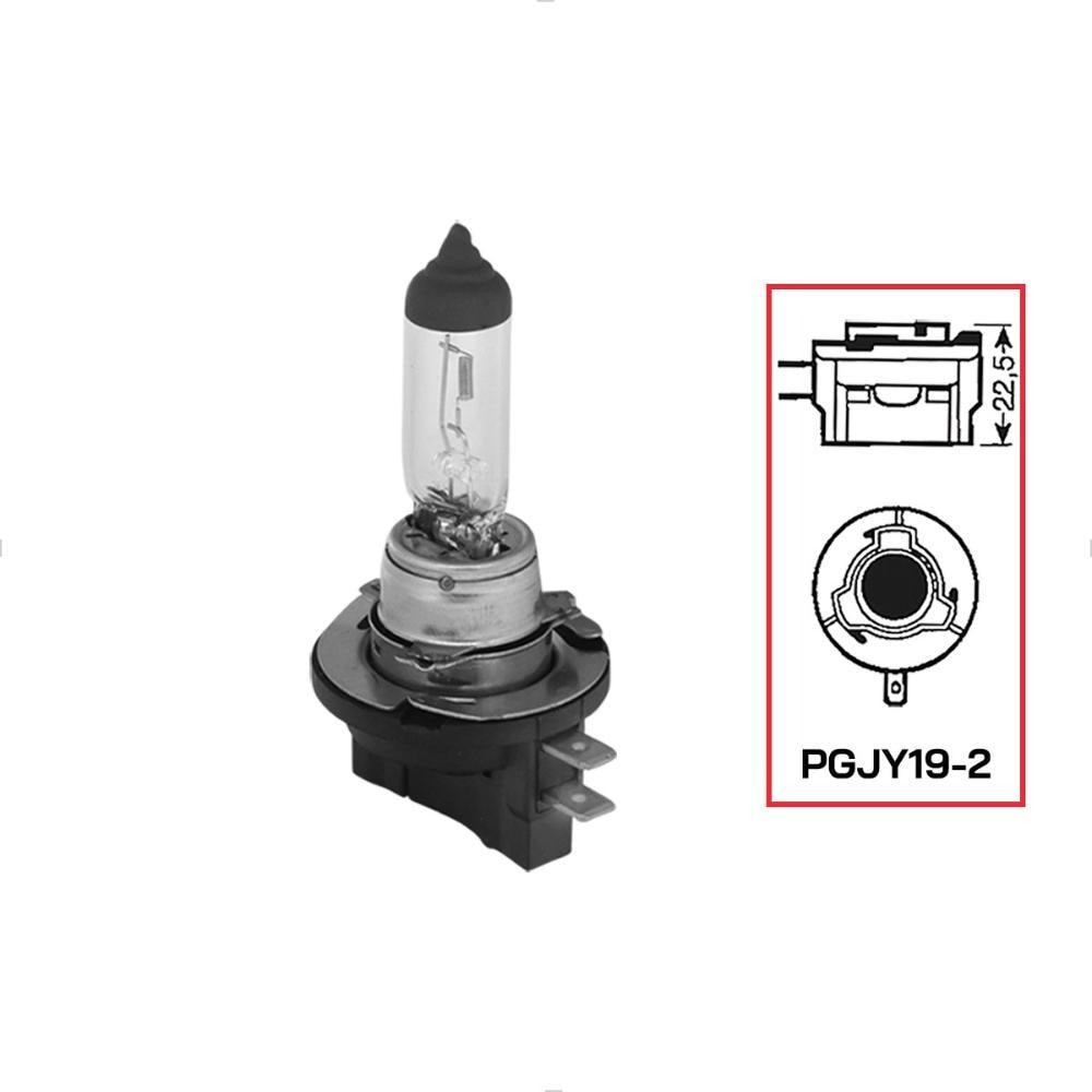 image_b562ee8e-0db1-4745-b6d3-95744fd2a588