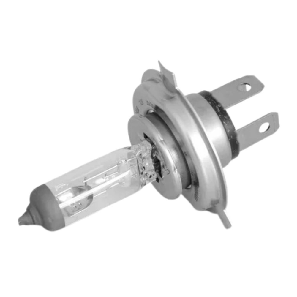 image_c217262a-70e5-4b54-9317-570f6c8ab298