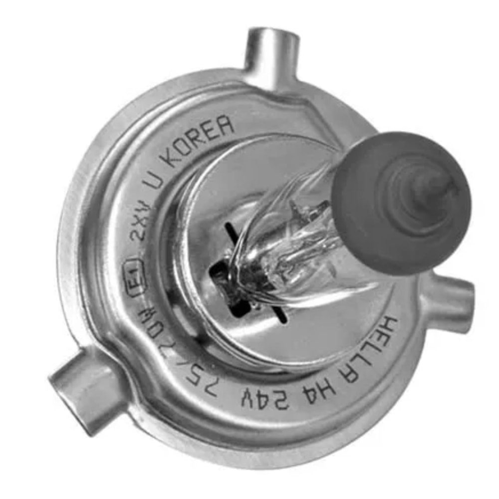 image_7dac2341-c78c-435c-8250-3328ddef1379